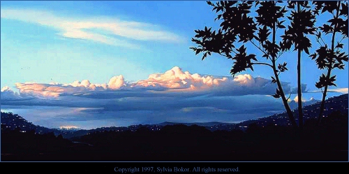 Sylvia Bokor's - Thank You Mr Edison - reproduced with kind permission of Quent Cordair and Sylvia Bokor